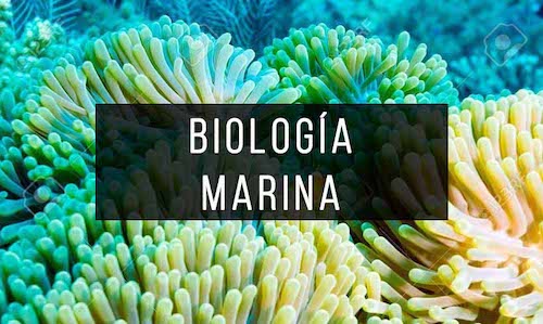 Biologia Marina