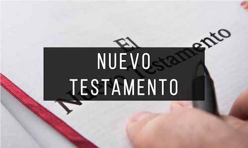 Nuevo Testamento PDF