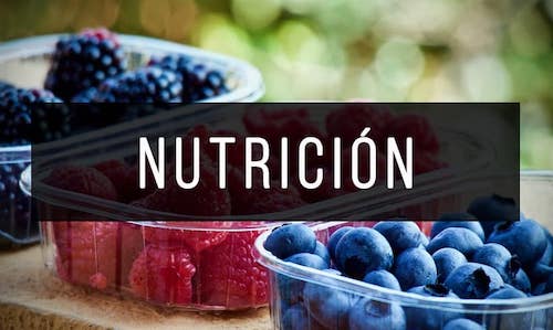 Nutricion