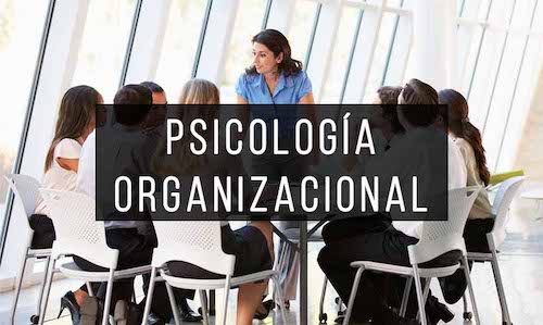 Psicologia Organizacional