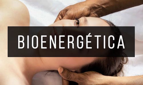 Bioenergetica