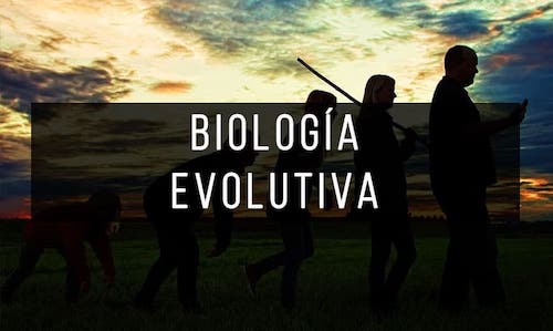 Biologia-evolutiva