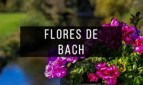 Flores-de-bach