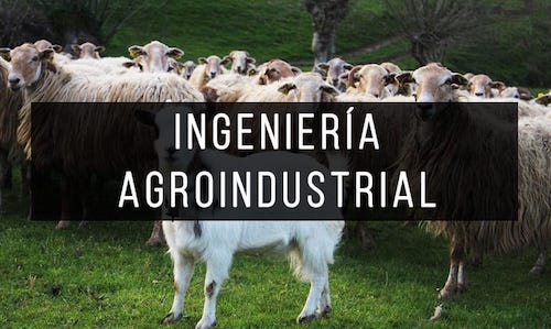 Ingenieria-agroindustrial