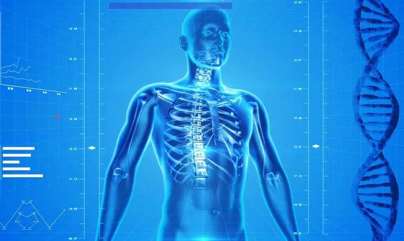 Que-es-la-anatomia