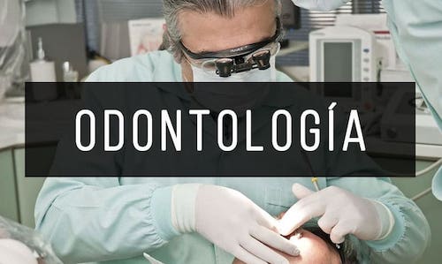Odontologia
