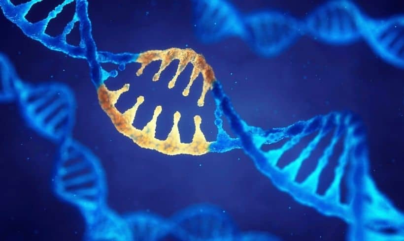Beneficios de la genética en la sociedad Objetivos-del-Romance