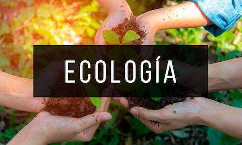 Ecologia