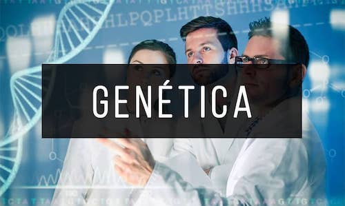 Genetica