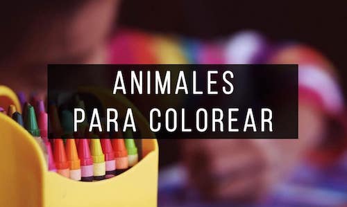 Animales-para-colorear