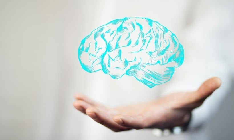 Aportes de la neurociencia en educación Aportes de la neurociencia en educación