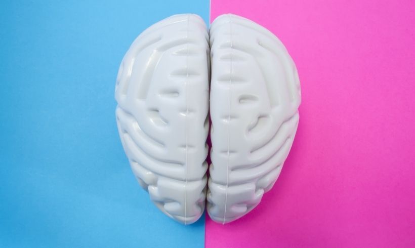 Qué es la neurociencia En-qué-consiste-un-lenguaje-de-programación