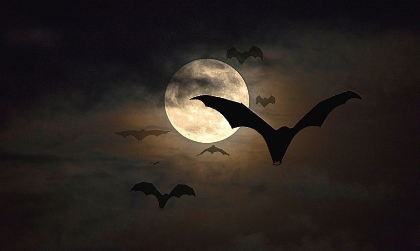El Misterio de Salems Lot Objetivos-del-Romance