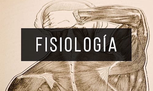 Fisiologia