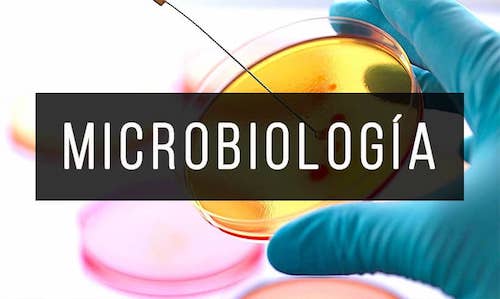 Microbiologia