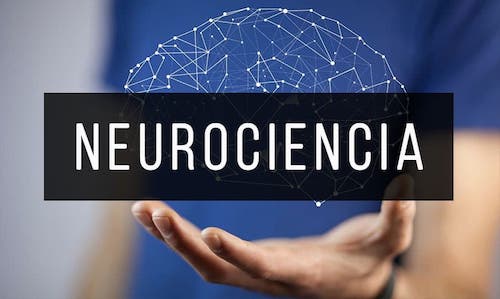 Neurociencia