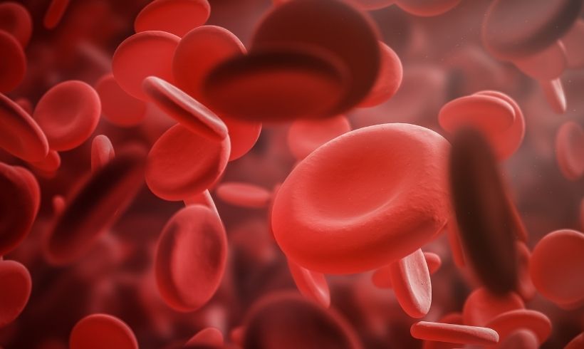 Libros de Hematologia portada Libros de Hematologia portada