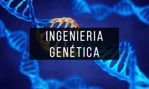 Libros-de-Ingenieria-Genética Libros-de-Ingenieria-Genética