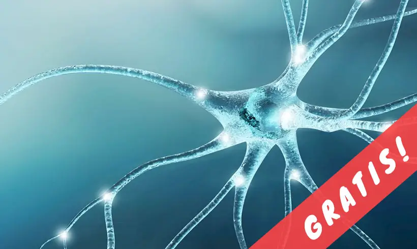 Libros-de-Neurologia-PDF-portada Libros-de-Neurologia-PDF-portada