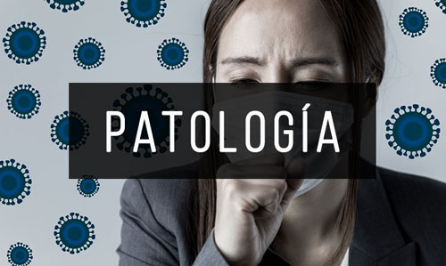 Patologia Patologia