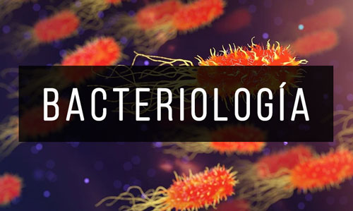 Bacteriologia Bacteriologia