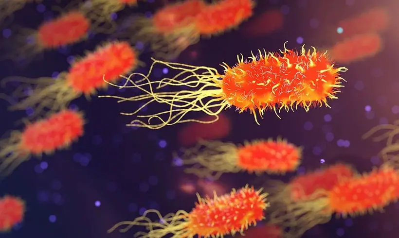 Libros-de-Bacteriologia Libros-de-Bacteriologia