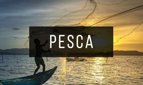 Libros-de-Pesca Libros-de-Pesca
