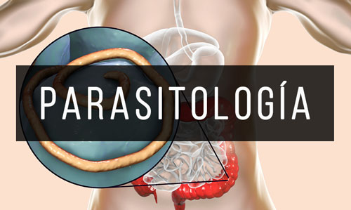 Parasitología Parasitología