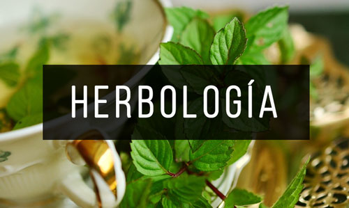 Herbologia Herbologia