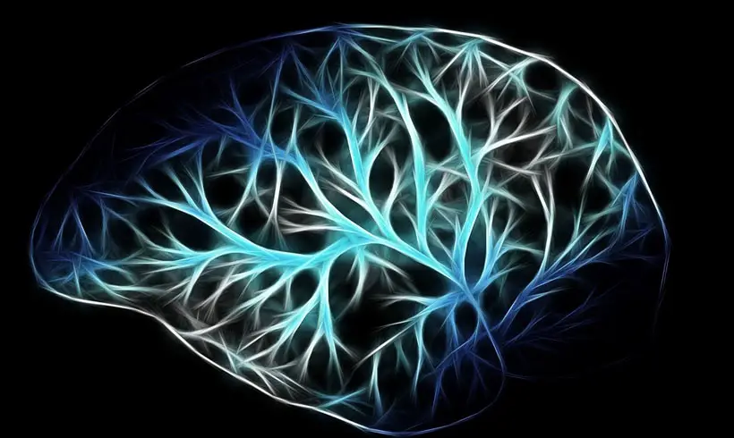 Libros-de-Neuropsicologia Libros-de-Neuropsicologia