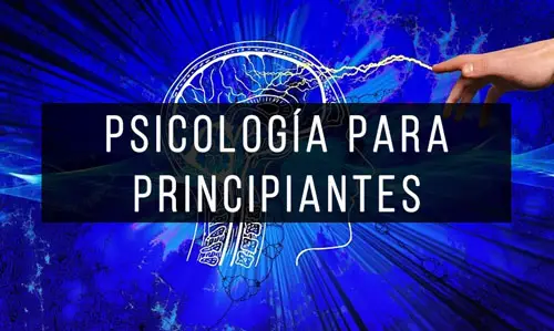 Psicología-para-Principiantes Psicología-para-Principiantes