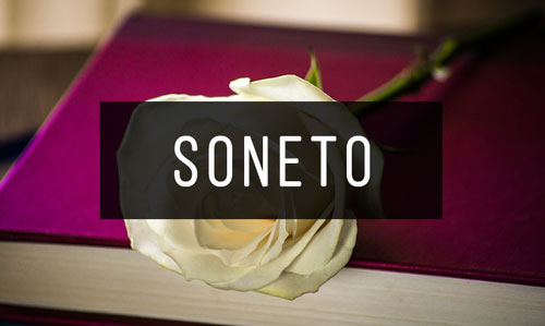 Soneto Soneto