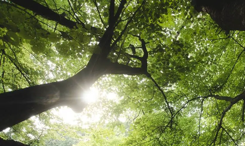 Libros de Naturaleza Libros de Naturaleza