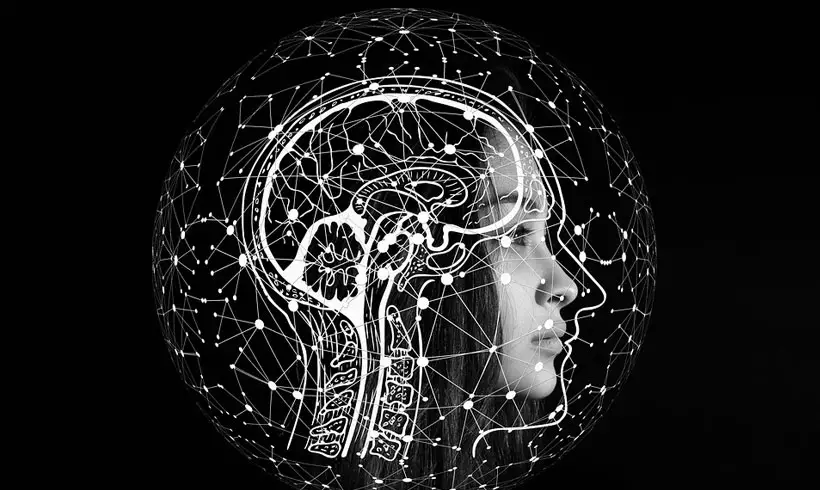 Libros-de-Neuroanatomia Libros-de-Neuroanatomia