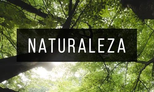 Naturaleza Naturaleza